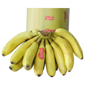 Aanai-Banana-