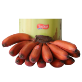 Red-Banana-